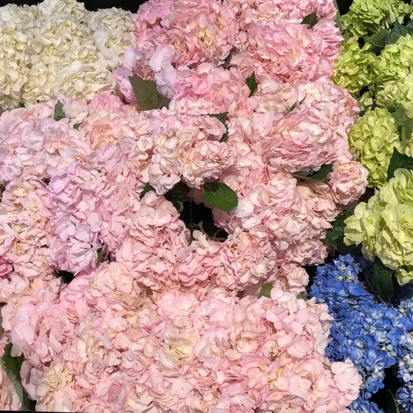 NO FAKES 💯% authentic items - Picture 4 of 15